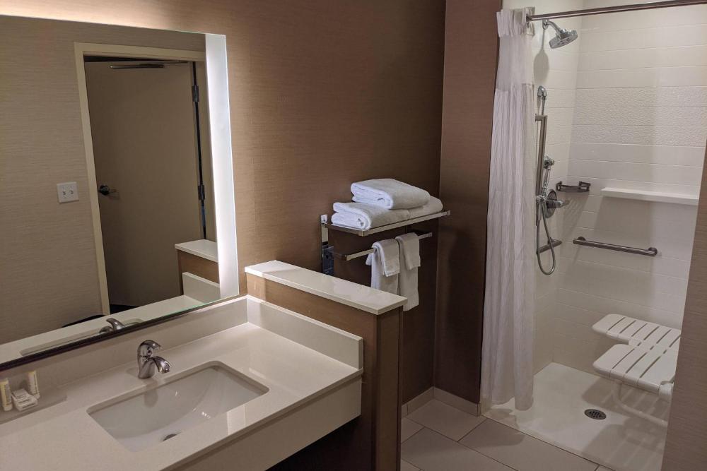 King Suite with Transfer Shower and Sofa Bed - Mobility Access/Communication Assistance interior